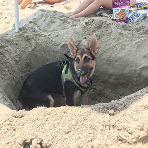 Meet your Posher, Alphonso